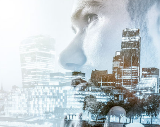 L1 L2 et L3 Management et gestion à l'international